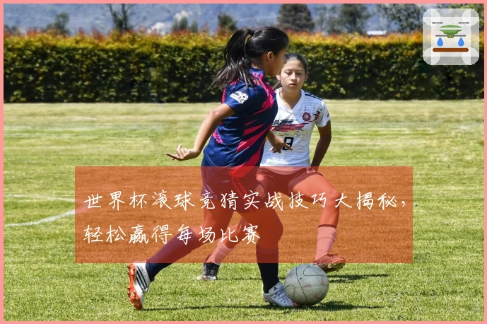 世界杯滚球竞猜实战技巧大揭秘，轻松赢得每场比赛