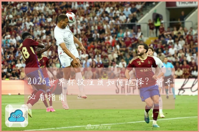 2026世界杯投注该如何选择？新手必看指南