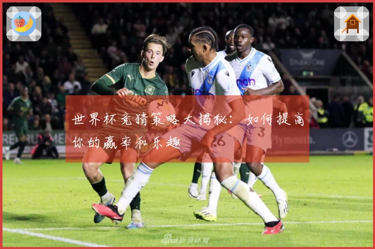世界杯竞猜策略大揭秘：如何提高你的赢率和乐趣