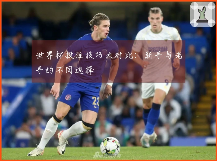 世界杯投注技巧大对比：新手与老手的不同选择