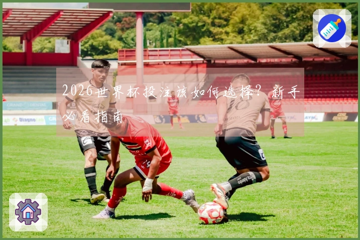 2026世界杯投注该如何选择？新手必看指南