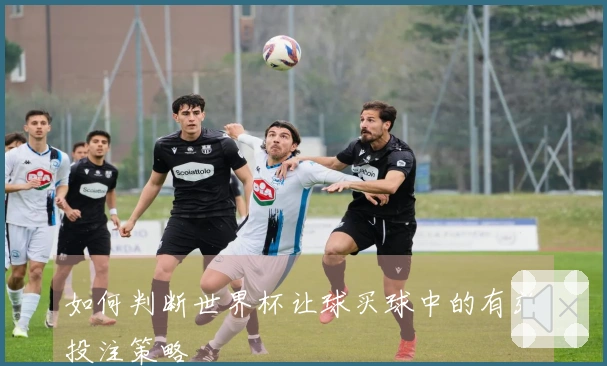 如何判断世界杯让球买球中的有效投注策略