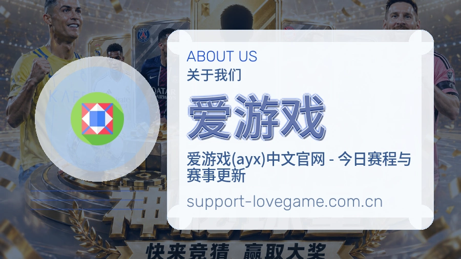 关于 爱游戏